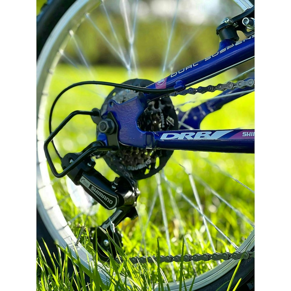 image 1 of Dallingridge Melody 20" Girls Full Suspension Mountain Bike - Pink/Blue