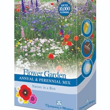 Thompson & Morgan Annual & Perennial Flower Garden Seed Mix - Easy Scatter Blooms April-July (2 Units)