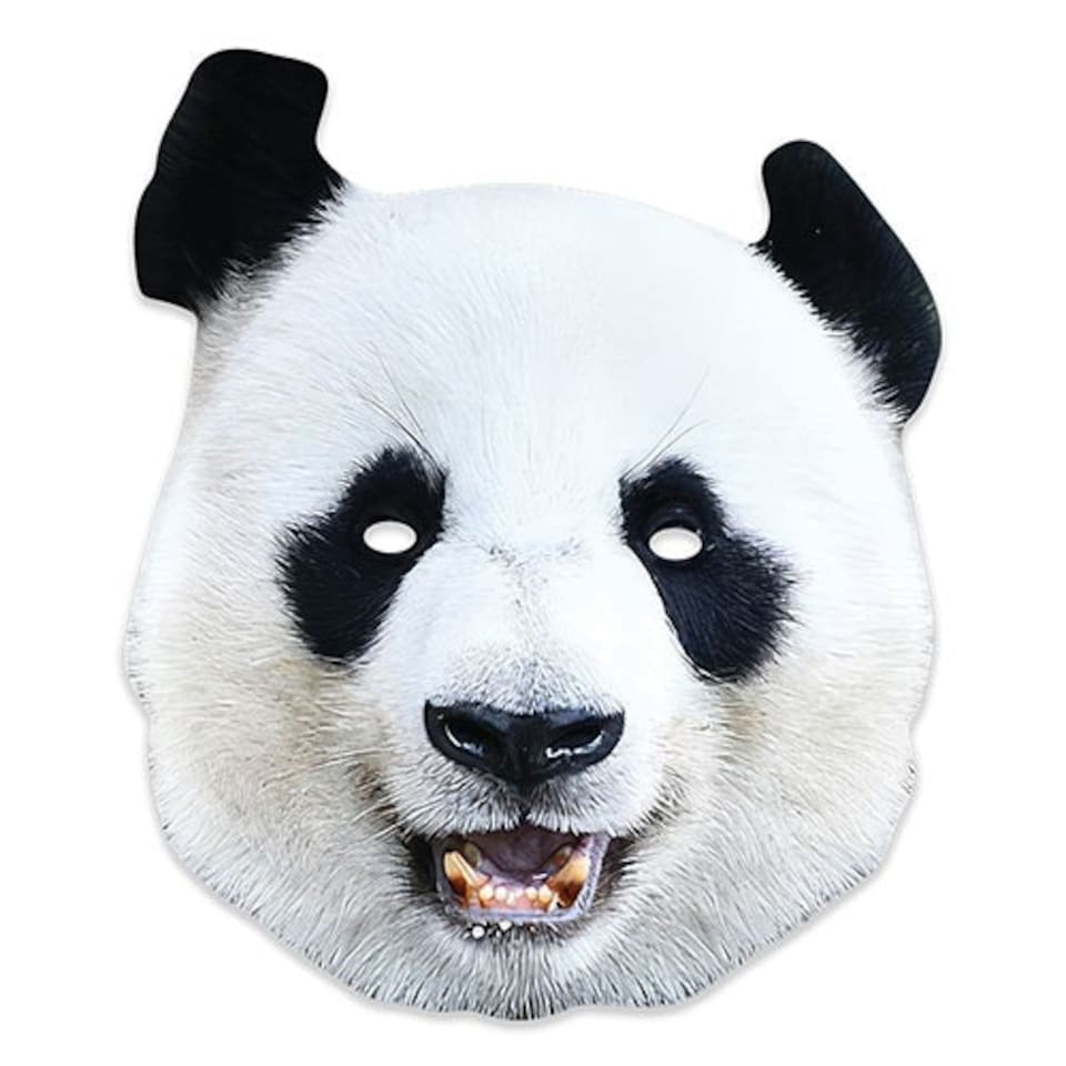 Panda Cardboard Face Mask