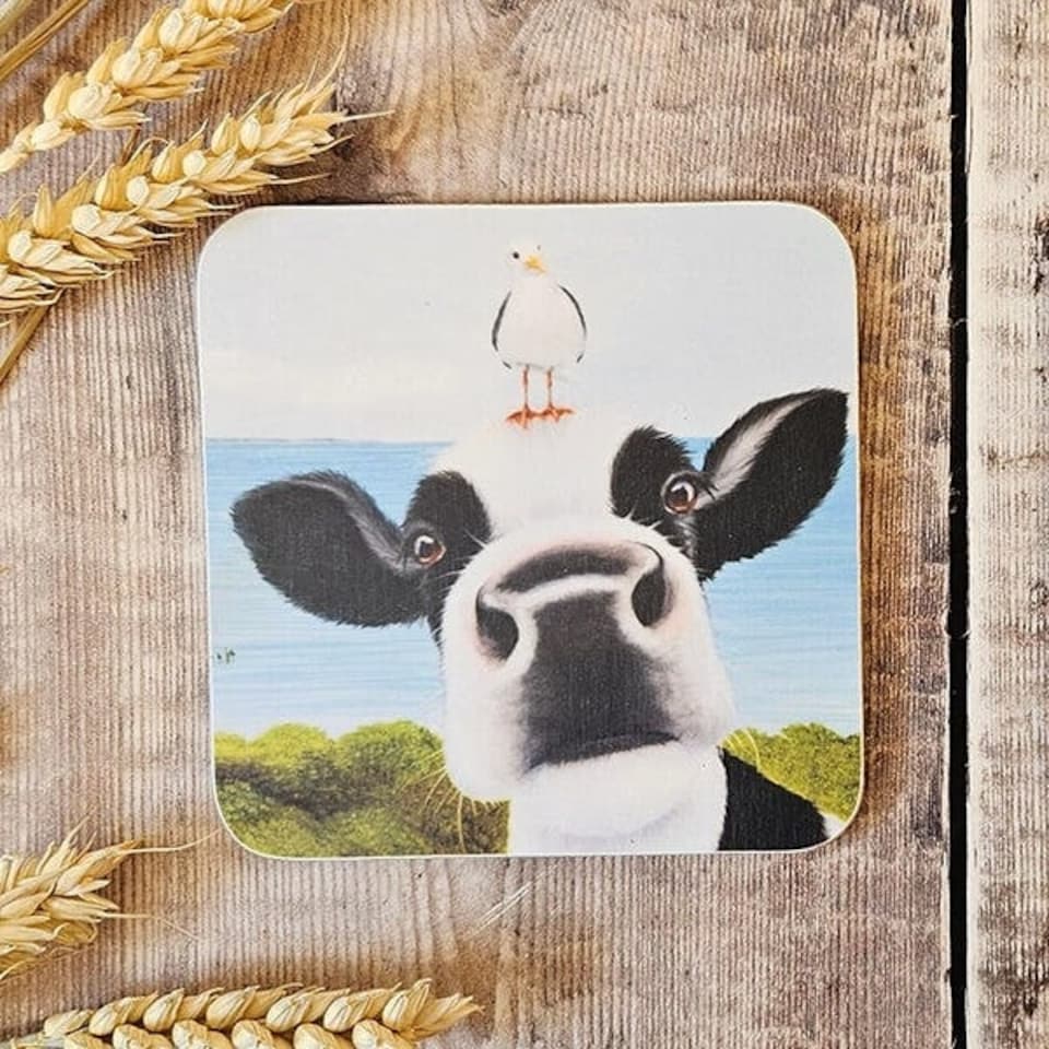 Lucy's Farm Moo Selfie at Swanage II Melamine Coaster