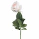 image 2 of Palest Tea Rose Artificial Flower - L5 x W7 x H65 cm - Pink