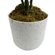 image 3 of 55cm Artificial White Peony Plant