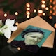 image 4 of Vincent van Gogh Art Card Portrait of the Artist's Mother