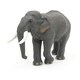 image 6 of PAPO Wild Animal Kingdom Asian Elephant Toy Figure