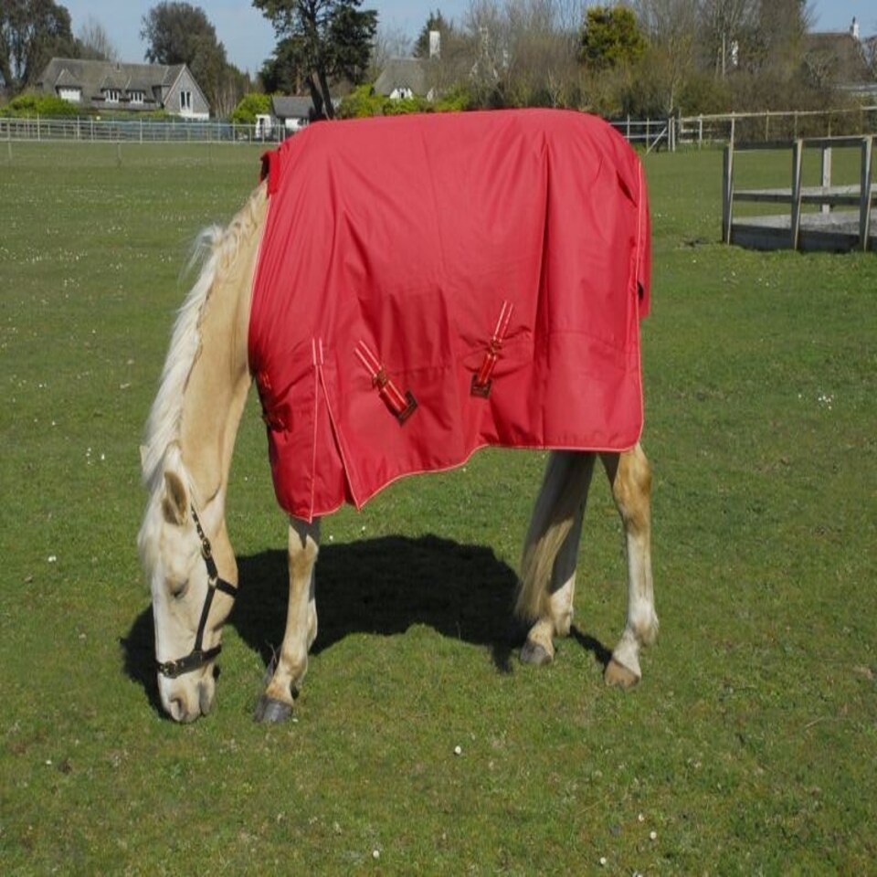 image 1 of Rhinegold Torrent Outdoor Rug | Blue | Size: 5ft 3
Colour: Navy Blue