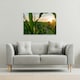 image 2 of corn and sun close up (Canvas Print) 46 x 31 x 4cm
