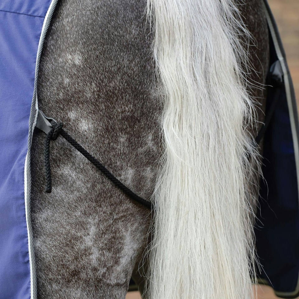 image 1 of Weatherbeeta Standard-Neck Cotton Horse Exercise Sheet - Dark Blue/Grey/White - 7´