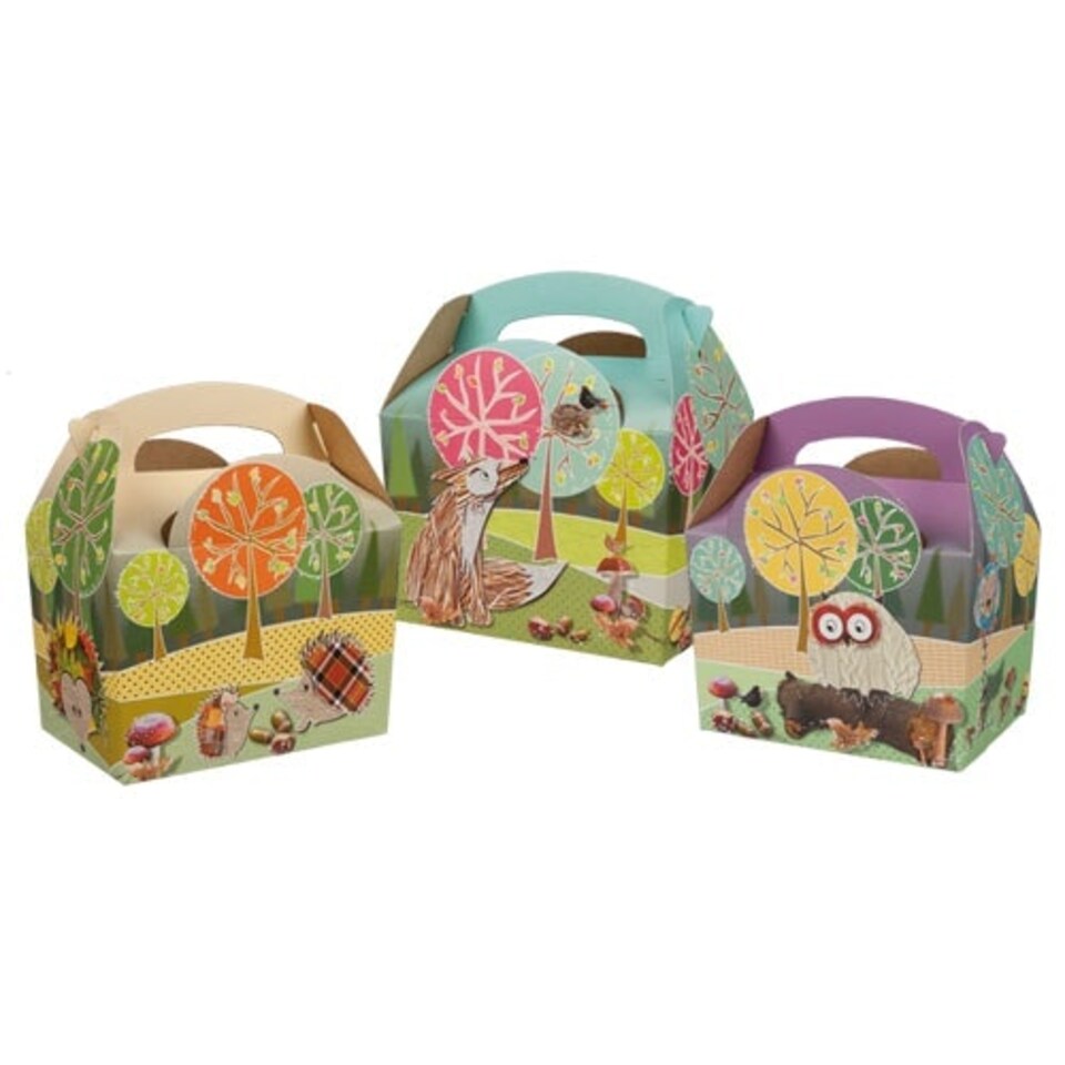 Assorted Woodland Compostable Paper Party Box
