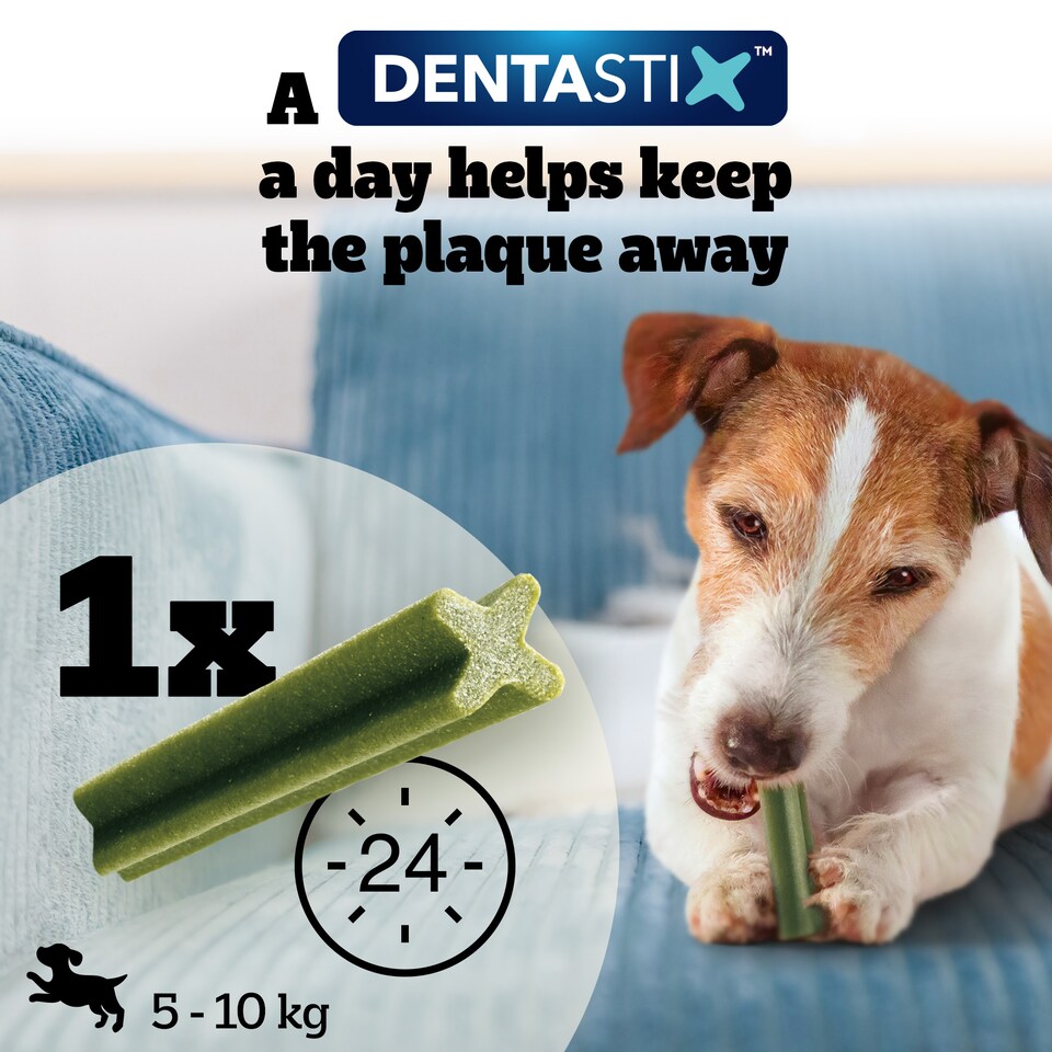 image 1 of 140 Pedigree Dentastix Daily Adult Small Dog Treats Dental Sticks Dog Chews