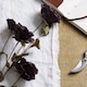 image 2 of Tall Poppy Stem - Plastic - L19 x W19 x H83 cm - Black