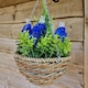 image 5 of Best Artificial 25cm / 10 Inch Blue Hyacinth Hanging Basket - Suitable for Outdoor Use - Weather & Fade Resistant | Red | Red | 1