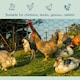 image 2 of PawHut Foldable Chicken Wire Mesh, for Rabbits, Ducks, Geese, 1 x 25m