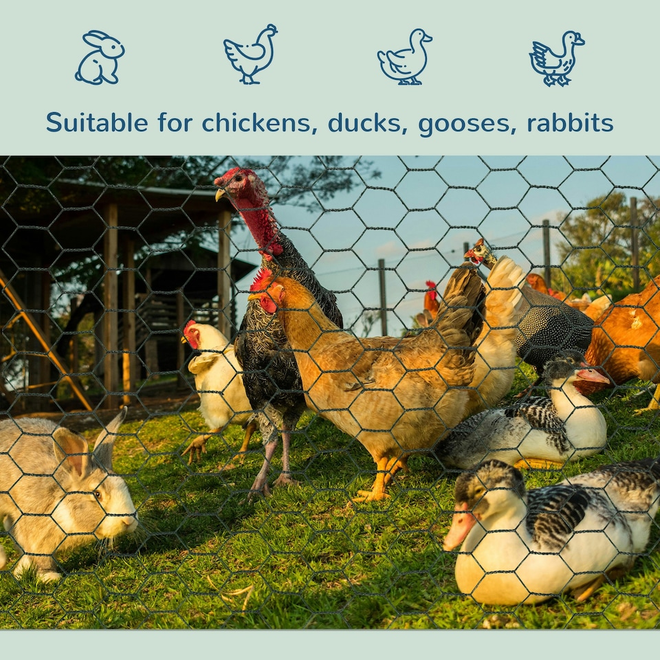 image 1 of PawHut Foldable Chicken Wire Mesh, for Rabbits, Ducks, Geese, 1 x 25m