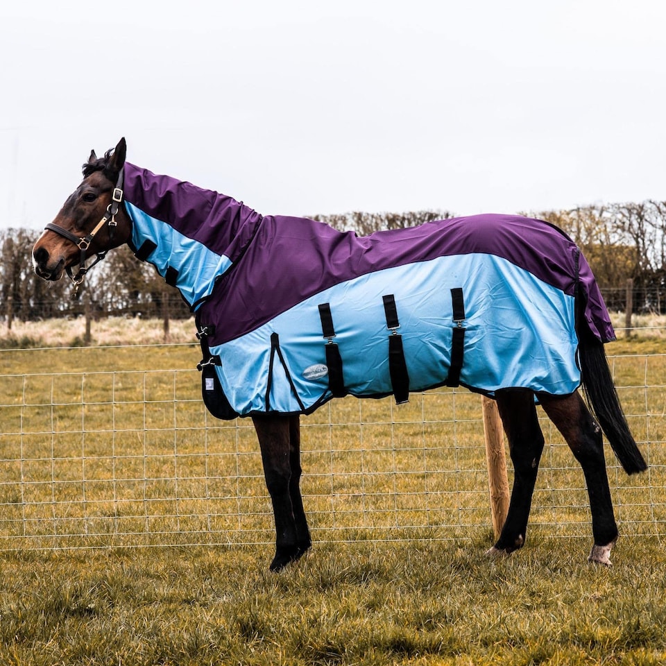 image 1 of eQuitack 600D 2 in 1 Waterproof Fly Turnout Mesh Horse Rug Fixed Neck Burgundy/Blue 5'6''