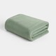 image 1 of OHS Teddy Fleece Soft Warm Plush Cosy Plain Dyed Throw Over Bed Blanket, 200x240cm Green | Evergreen