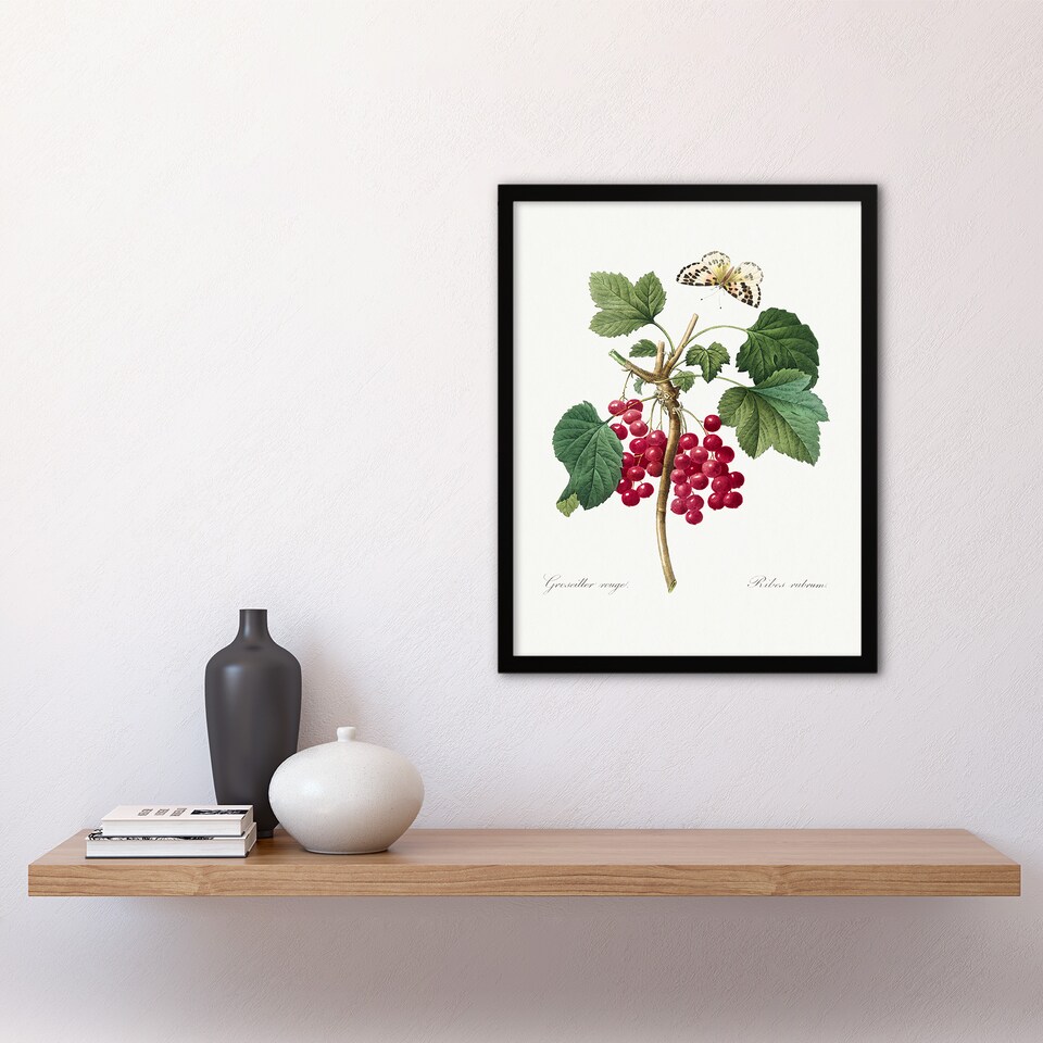 image 1 of Pierre J Redoute Framed Wall Art Redcurrant Berries and Butterfly Home Décor