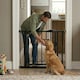 image 8 of Bettacare Auto Close Stair Gate, 118.2cm - 125.2cm, Matt Black, Pressure Fit Safety Gate, Baby Gate, Safety Barrier for Doors Hallways and Spaces, Easy Installation