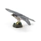 image 10 of PAPO Wild Animal Kingdom Hawk Toy Figure