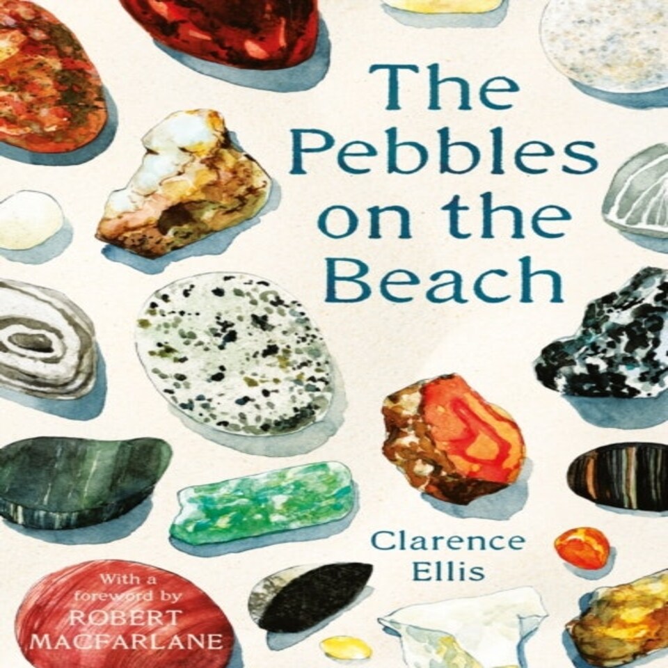 The Pebbles On The Beach A Spotter's Guide
