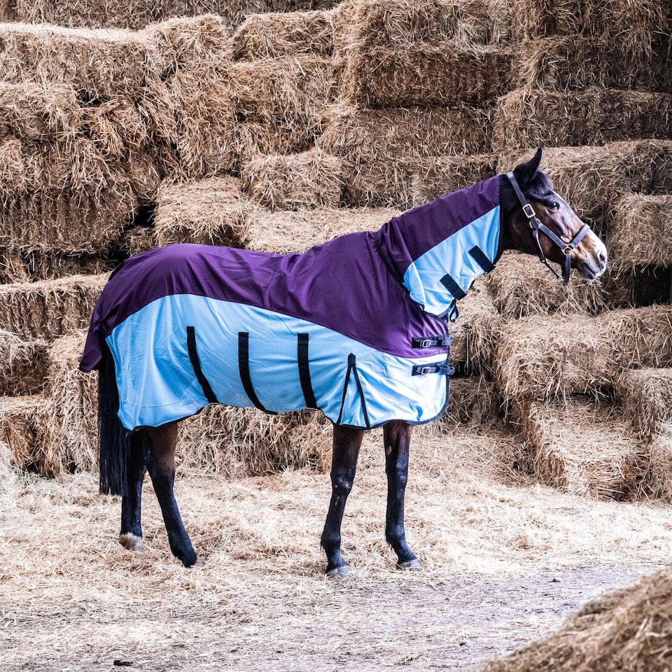 image 1 of eQuitack 600D 2 in 1 Waterproof Fly Turnout Mesh Horse Rug Fixed Neck Burgundy/Blue 5'6''