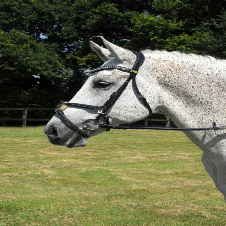 image 1 of Rhinegold Anatomic Mexican Bridle Black | Size: X-Full
Colour: Black