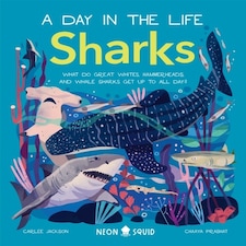 Sharks (a Day In The Life)