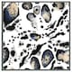 image 1 of Leopard print with blue (Picture Frame) Grey | S