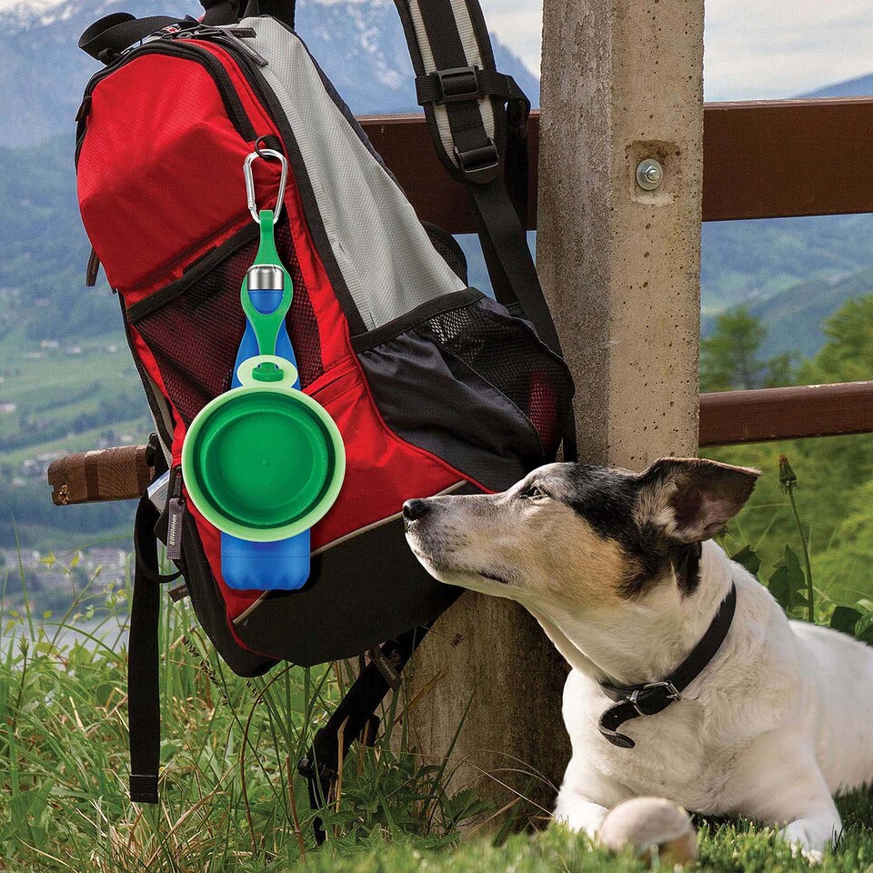 image 1 of PMS Crufts Collapsible Silicone Pet Travel Bowl - Portable Water & Food Dish