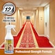 image 4 of NOPE CP Carpet Beetle Spray Killer 500ml - Fast Acting, Odourless Carpet Beetle Treatment for Home use