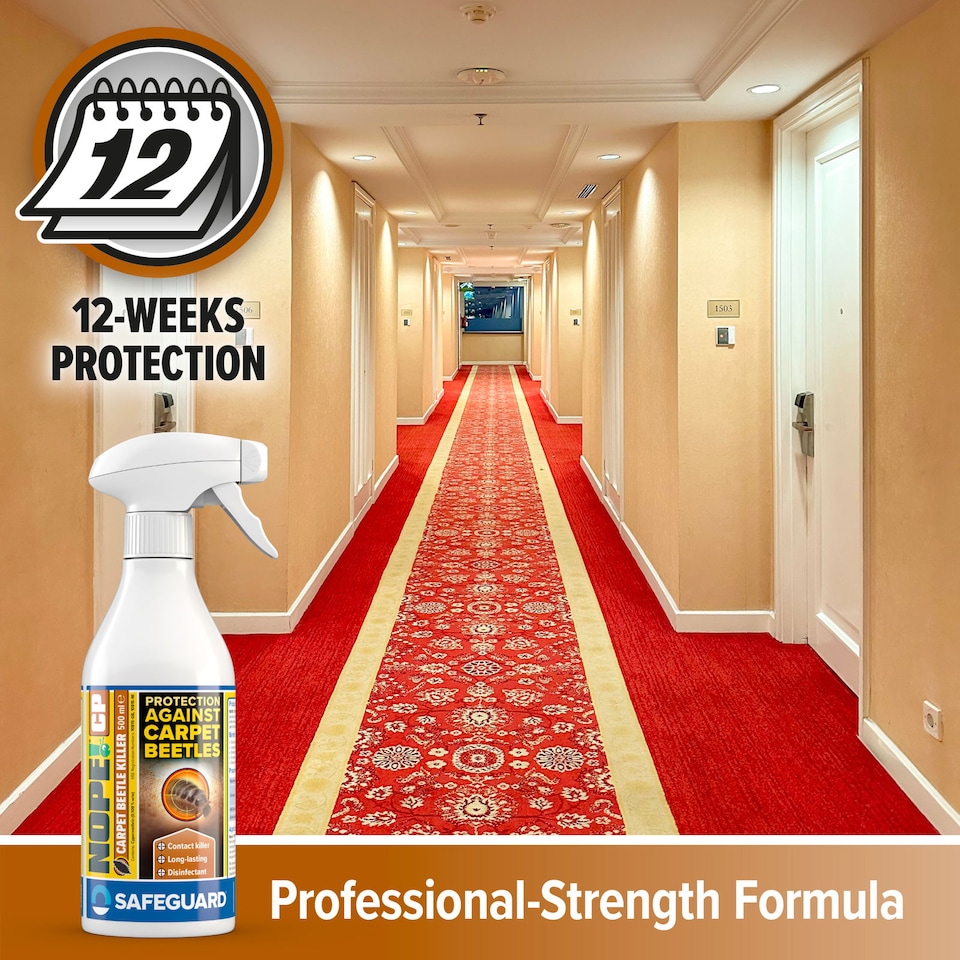 image 1 of NOPE CP Carpet Beetle Spray Killer 500ml - Fast Acting, Odourless Carpet Beetle Treatment for Home use