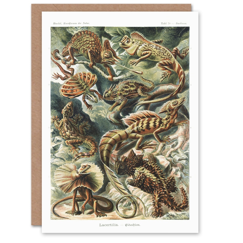 image 1 of Ernst Haeckel Art Card Lacertilia Reptile Lizard Species
