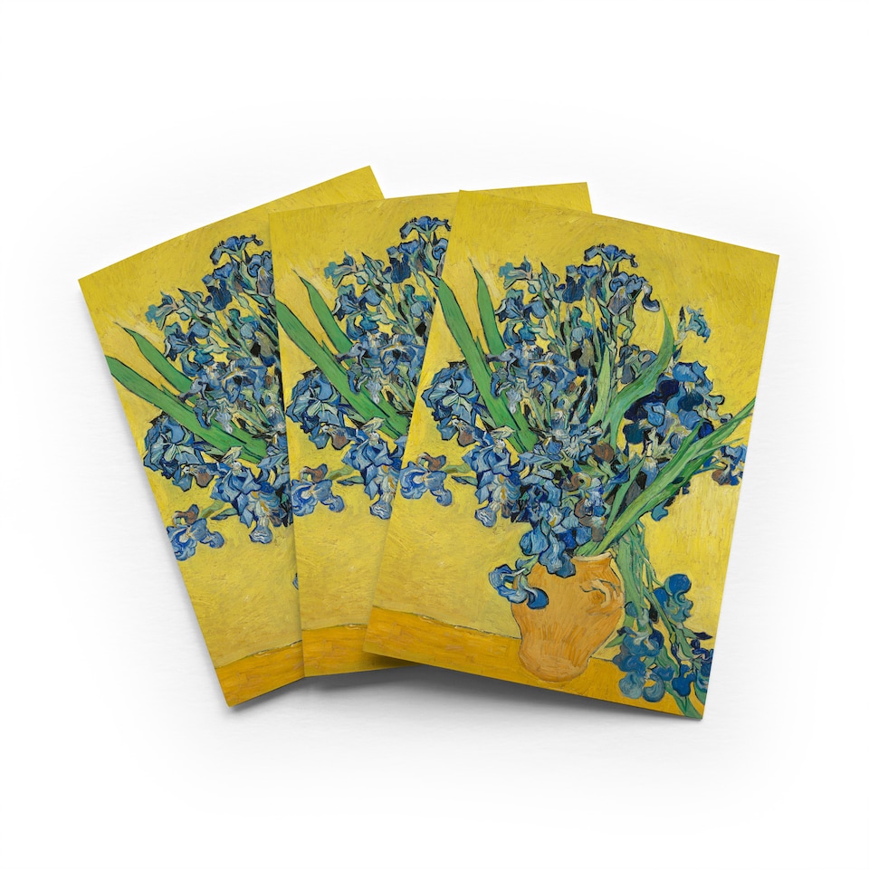 image 1 of Van Gogh Irises Greeting Card Impressionist Floral Any Occasion Set of 3 Blank