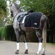 image 1 of Weatherbeeta Therapy Tec Fleece Quarter Sheet - Black/Silver/Red - XS