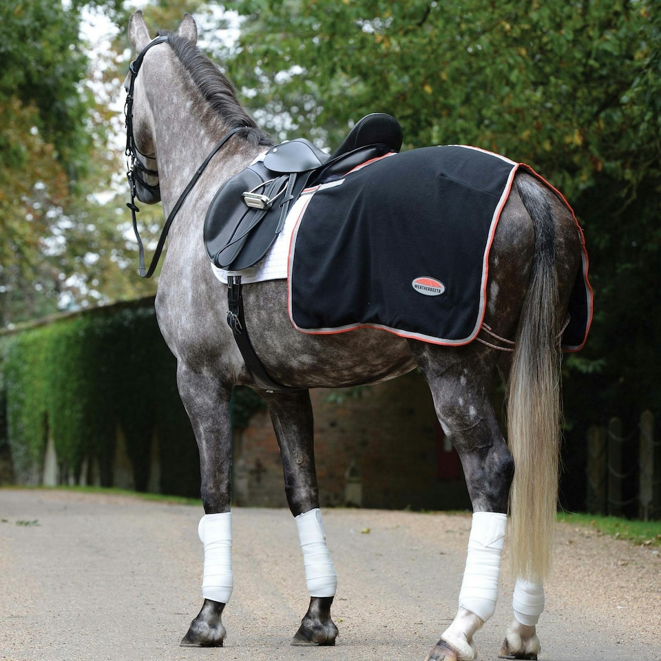 image 1 of Weatherbeeta Therapy Tec Fleece Quarter Sheet - Black/Silver/Red - XS
