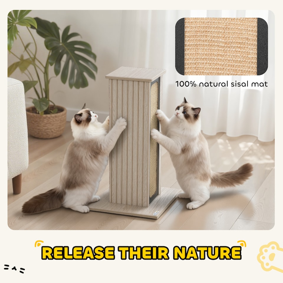 image 1 of PawHut Cat Scratching Post, 63 cm Tall Scratcher with Replaceable Scratching Board, Top Perch, Natural Sisal Scratch Mat, for Large Cats and Kittens, Oak