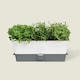 image 1 of Cole & Mason Burwell Self-Watering Potted Herb Saver Triple Clear