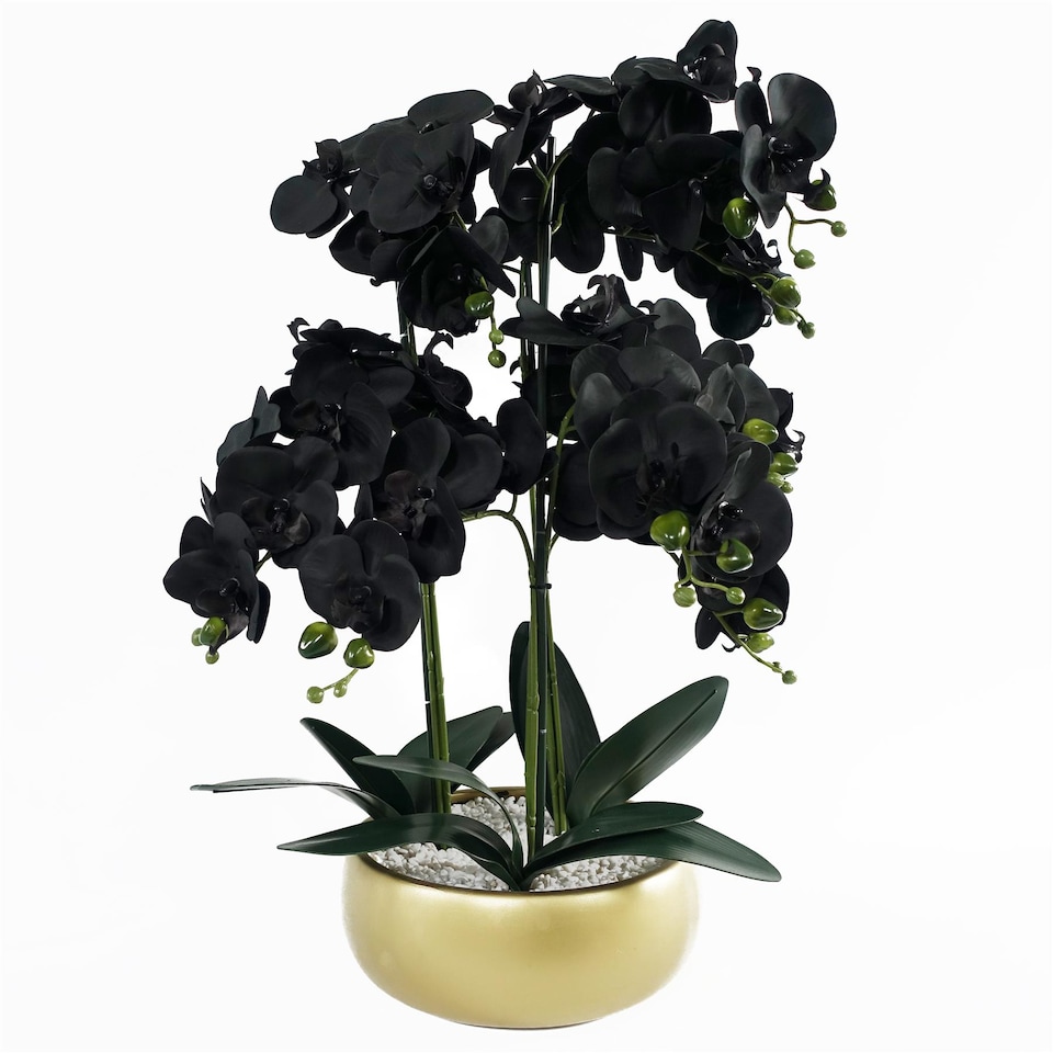 image 1 of Orchid Black - Gold Ceramic Planter