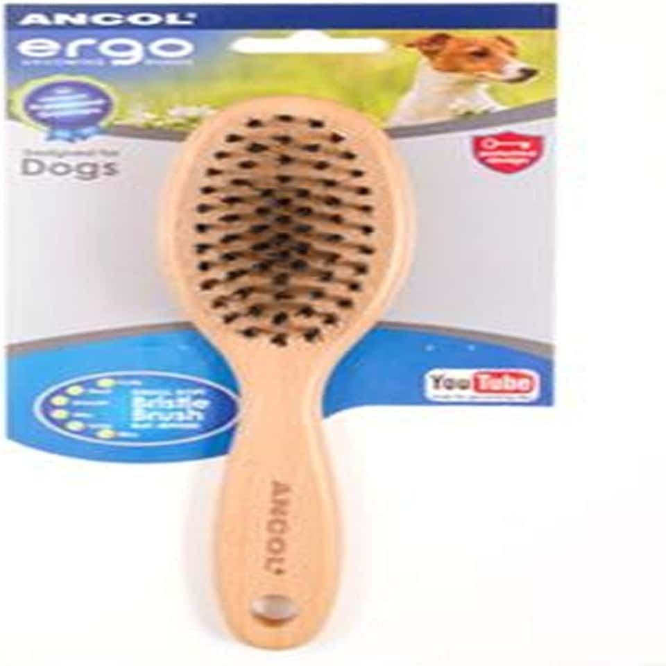 Ancol Nylon Small Soft Bristle Dog Brush