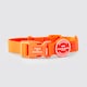 image 1 of Hugo & Hudson Orange Waterproof Dog Collar