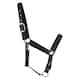 image 2 of Hy Mystic Horse Headcollar - Purple/Midnight - Full
