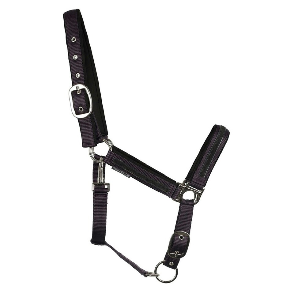 image 1 of Hy Mystic Horse Headcollar - Purple/Midnight - Full