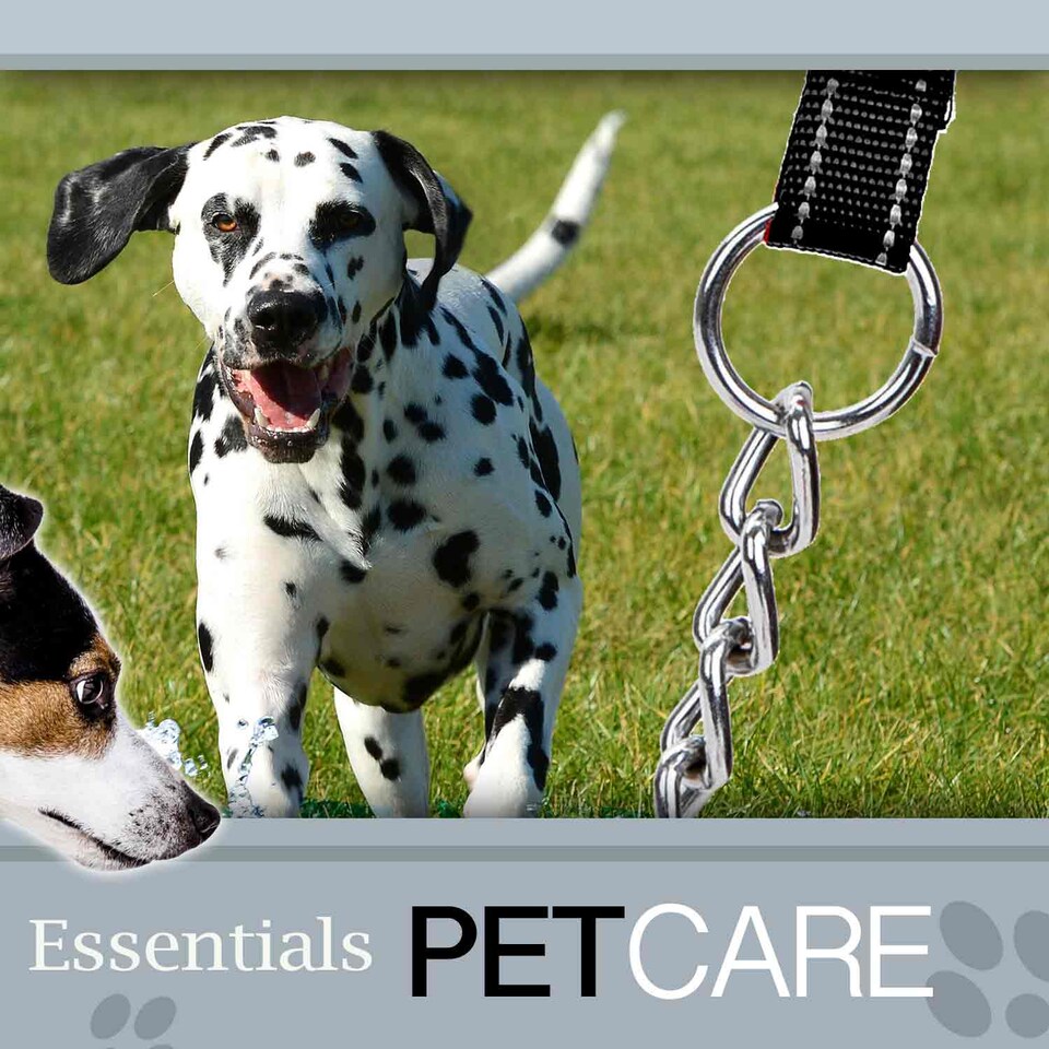 image 1 of PMS Crufts Reflective Chain Lead 1.2m, Black