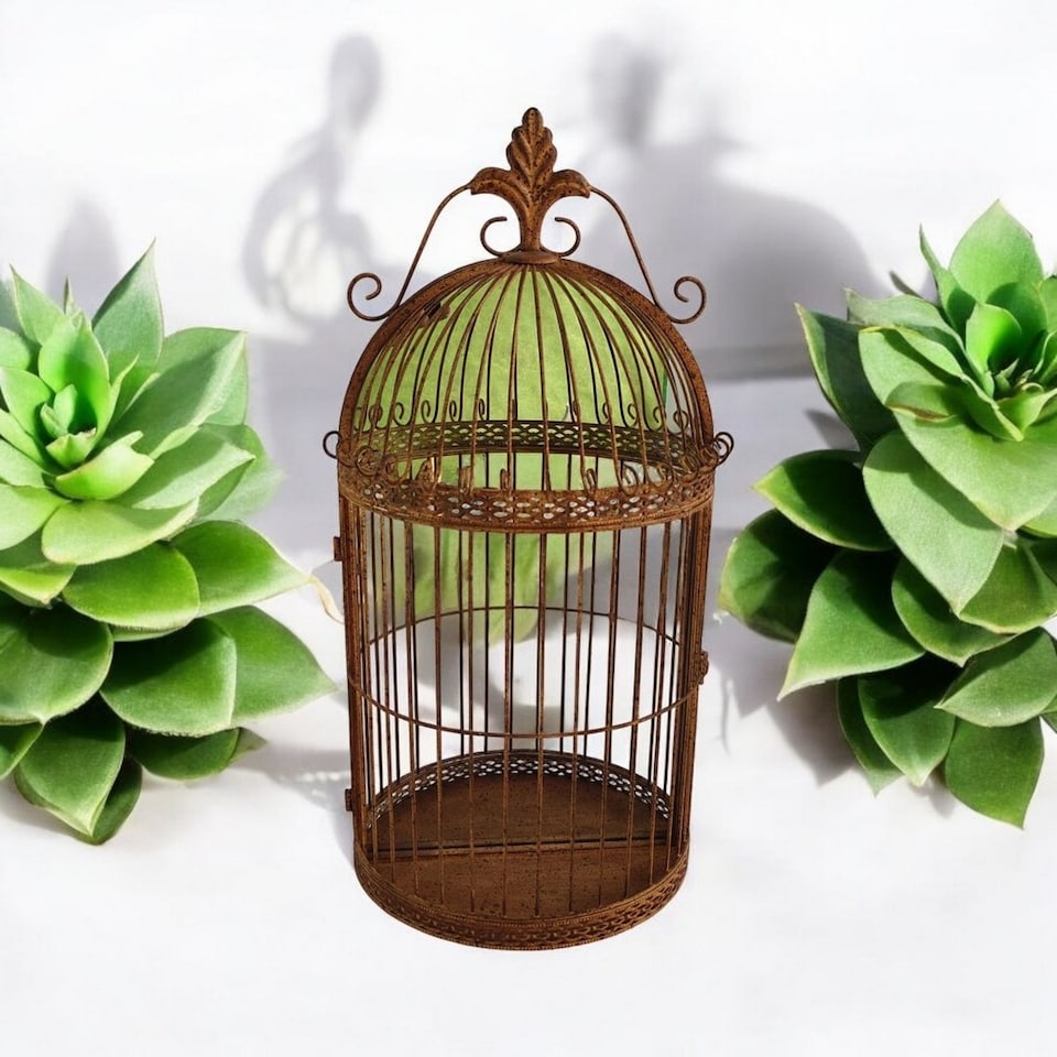 image 1 of Garden Mirror Cage - Metal - L17 x W32 x H63 cm - Rusty