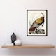 image 2 of John James Audubon Framed Wall Art Print Birds of America Wild Turkey Home Décor