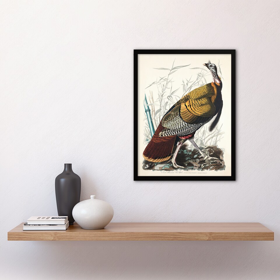 image 1 of John James Audubon Framed Wall Art Print Birds of America Wild Turkey Home Décor