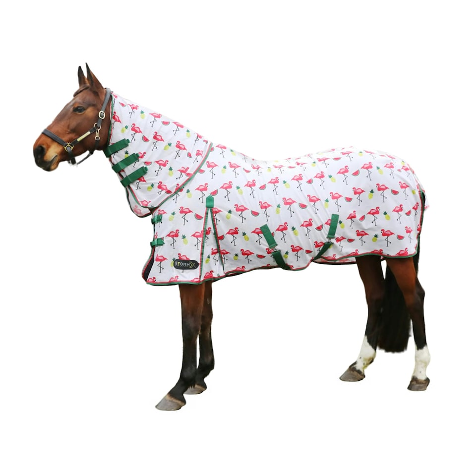 image 1 of StormX Original Flamingo Horse Combo Fly Rug - Green/White/Pink - 5´