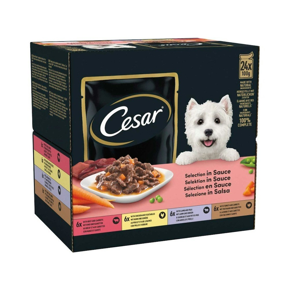 Cesar Dog Food Selection In Sauce 24x100g x 2
