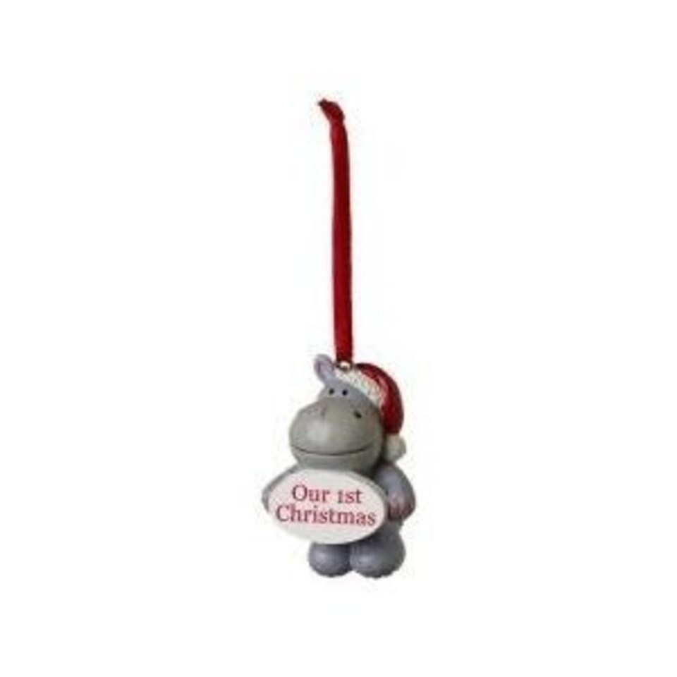 image 1 of Elliot and Buttons Our 1st Christmas Christmas Tree Decoration