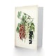 image 2 of John Wright Art Card Black Naples Victoria White Dutch Currants
