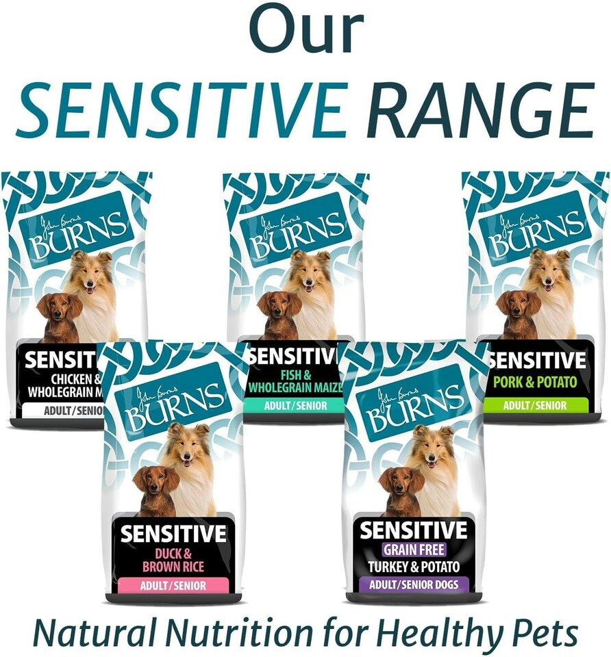 image 1 of Burns Sensitive Pork & Potato Hypoallergenic Low-Fat Adult Dry Dog Food - 6 kg